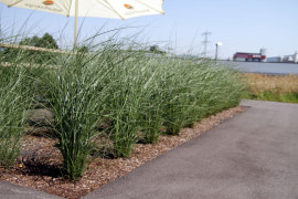 Garten- & Landschaftsbau